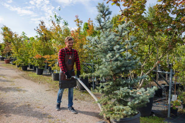 Ashland, OH Tree Care  Company